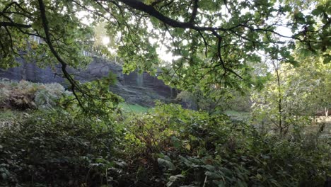 FPV-drone-flying-through-dense-quarry-woodland-with-sunlight-shining-through-trees-and-foliage