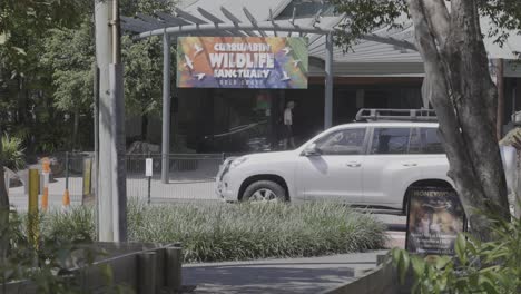 cars passing by, people walking near wildlife sign