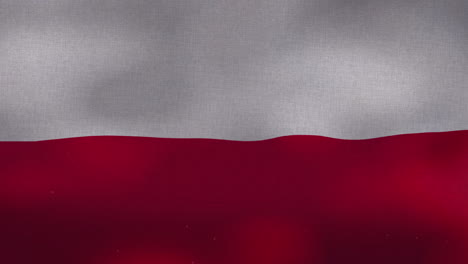 The-Poland-national-waving-flag