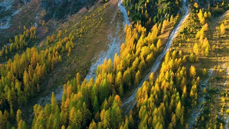 Switzerland,-Pontresina,-Lark,-Autumn,-Alps,-Nature,-Swiss,-Tourism