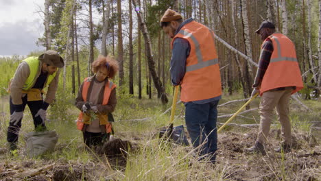 grupo de activistas ecologistas multiétnicos arando la tierra y plantando árboles en el bosque