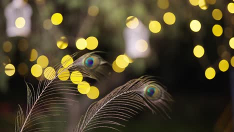 Peacock-feathers-as-part-of-garden-decor-swaying-in-wind