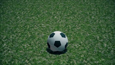 an unbranded soccer ball football rolling slowly across a grass pitch. - seamless looping