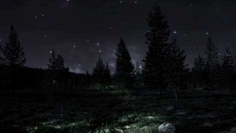 landscape during nighttime background