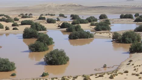 Sahara-Von-Algerien