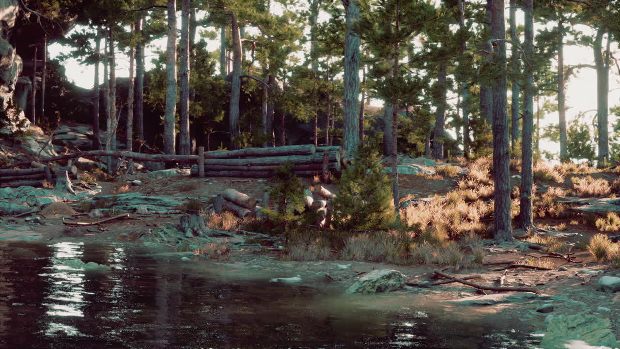 Tranquil lakeside retreat in a forest during the golden hour light