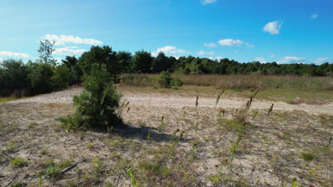 low drone flight over the recovering nature of the big river areas in rhode island.