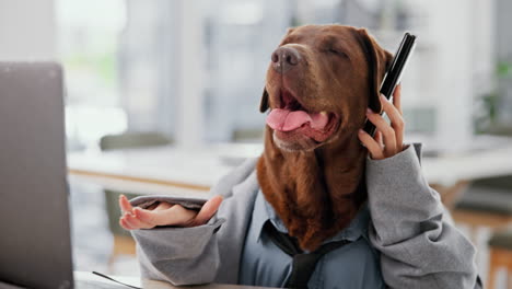 dog business meeting