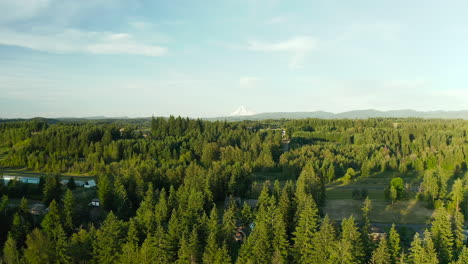 Toma-De-Un-Dron-De-Un-Exuberante-Bosque-Verde-Con-Una-Montaña-Nevada-En-El-Fondo