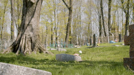 Zoom-In-Of-A-Graveyard-With-Tombstones-In-An-Urban-Area-On-A-Sunny-Day-6