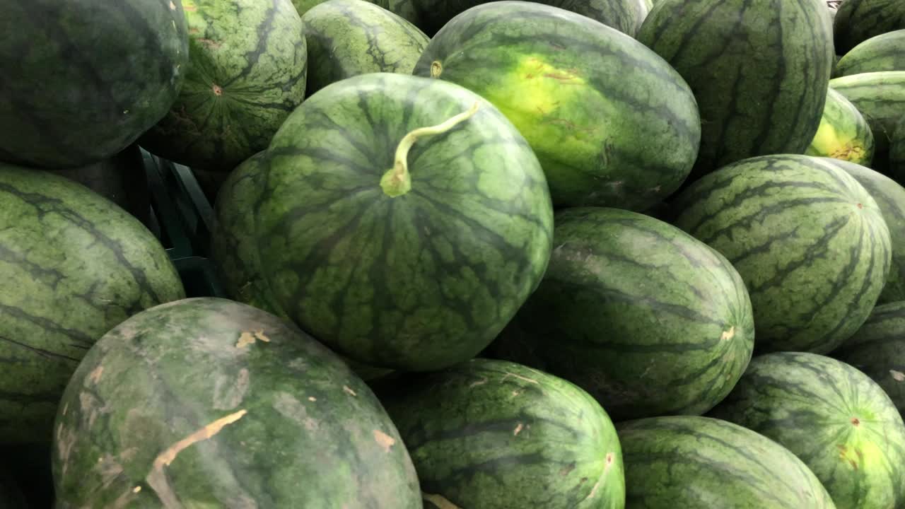유기농 수박과 수박 시장
