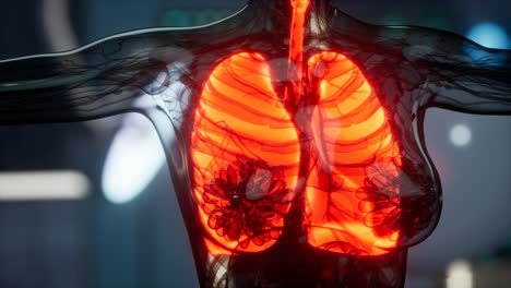 examen radiológico de pulmones humanos en laboratorio