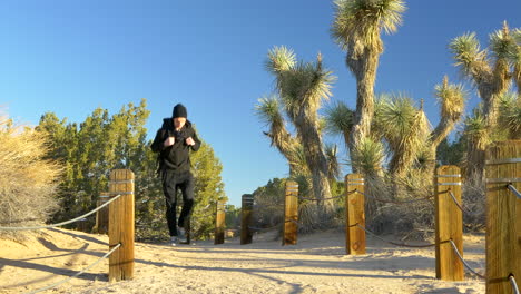 A-young-man-traveler-with-a-backpack-and-a-beanie-walking-through-a-desert-habitat-nature-preserve-during-sunrise-golden-hour-with-Joshua-Trees-plants-in-the-Antelope-Valley,-California