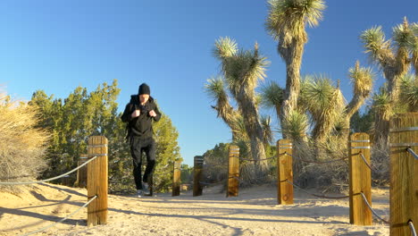 a young man traveler with a backpack and a beanie walking through a desert habitat nature preserve during sunrise golden hour with joshua trees plants in the antelope valley, california