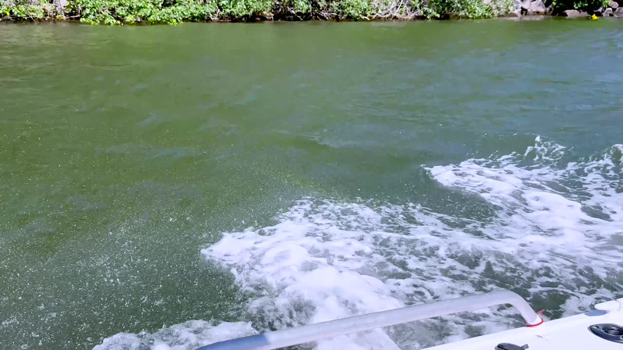 보트 는 경치 좋은 운하 에서 어리 를 만들어 줍니다