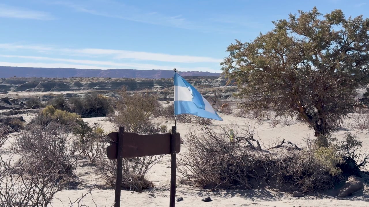 Argentinska nationalflaggan vajar i ett torrt Andinskt landskap, Argentina.