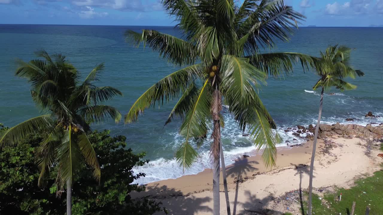 Aerial drone footage flying above lush palm trees on Koh Lanta, Thailand, revealing a remote tropical hidden beach with no people, showcasing the natural coastline and pristine scenery