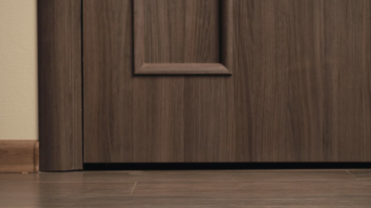 Food and goods delivery box, contactless online shopping, volunteer courier delivers parcel a to door of home, door to door deliver, e-commerce purchase.