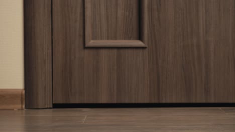 food and goods delivery box, contactless online shopping, volunteer courier delivers parcel a to door of home, door to door deliver, e-commerce purchase.