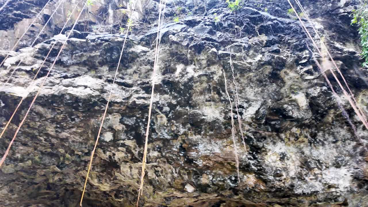 Exploring a Lush Tropical Cave: Dark and Mysterious Cave Entrance