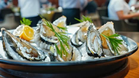 fresh oysters with lemon and dill