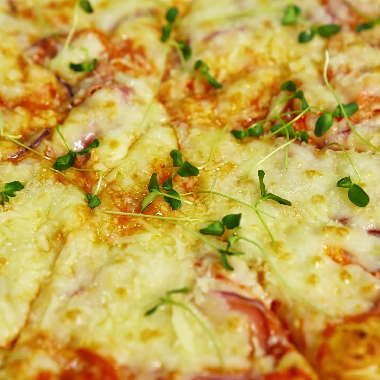 Delicious pizza. Melted cheese and green sprouts on pizza. Appetizing pizza spinning on the table. Close-up