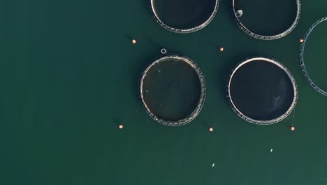las piscifactorías en el mar.