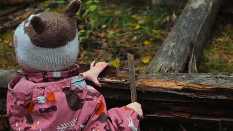 un niño pequeño juega en el bosque con árboles