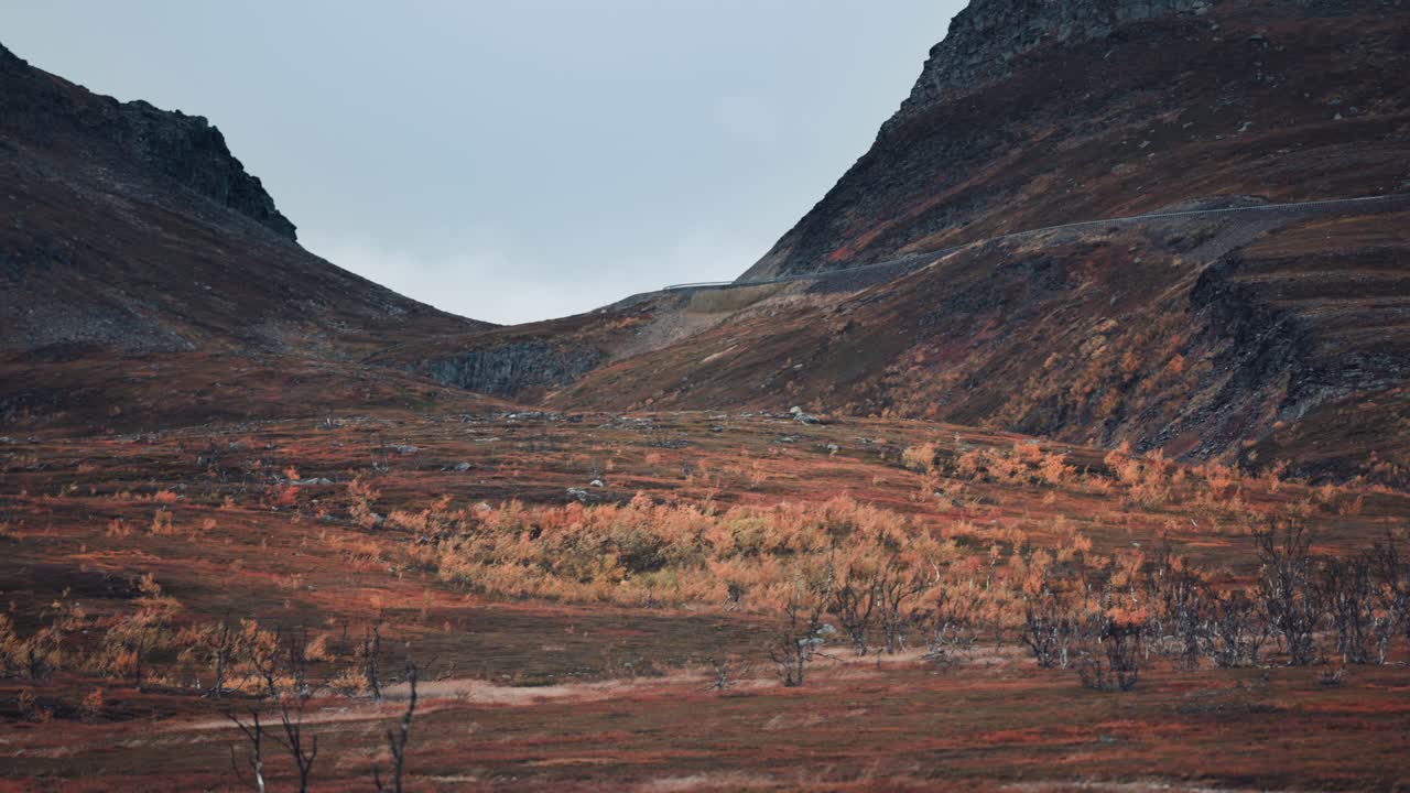 가을 툰드라 풍경