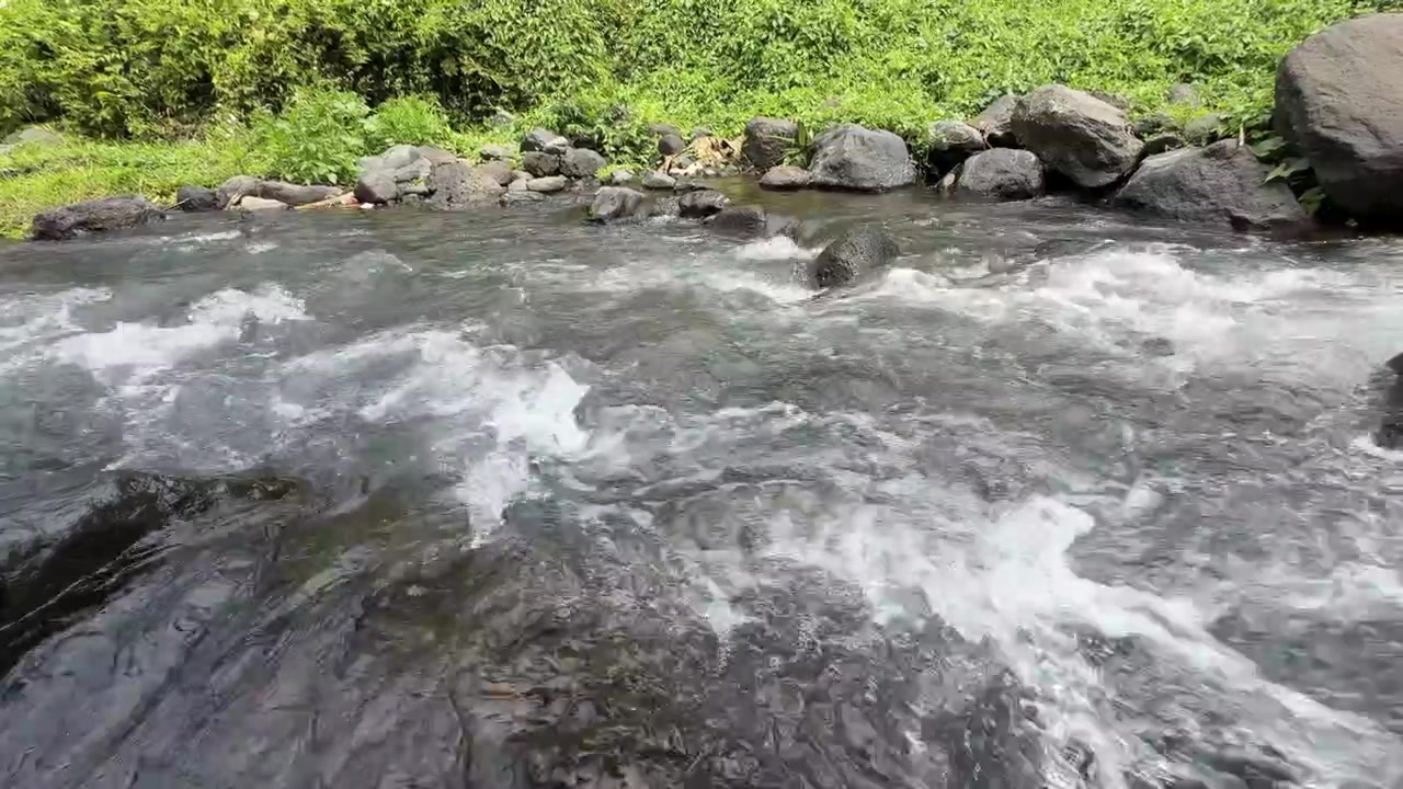 Air Sungai Mengalir Deras di Atas Bebatuan di Alam yang Asri