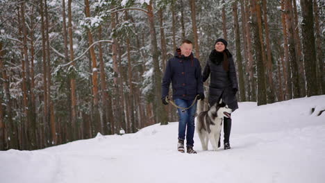 Waist-up-portrait-of-happy-modern-couple-playing-with-cute-Husky-puppy-outdoors-in-winter,-focus-on-Asian-man-smiling-at-camera