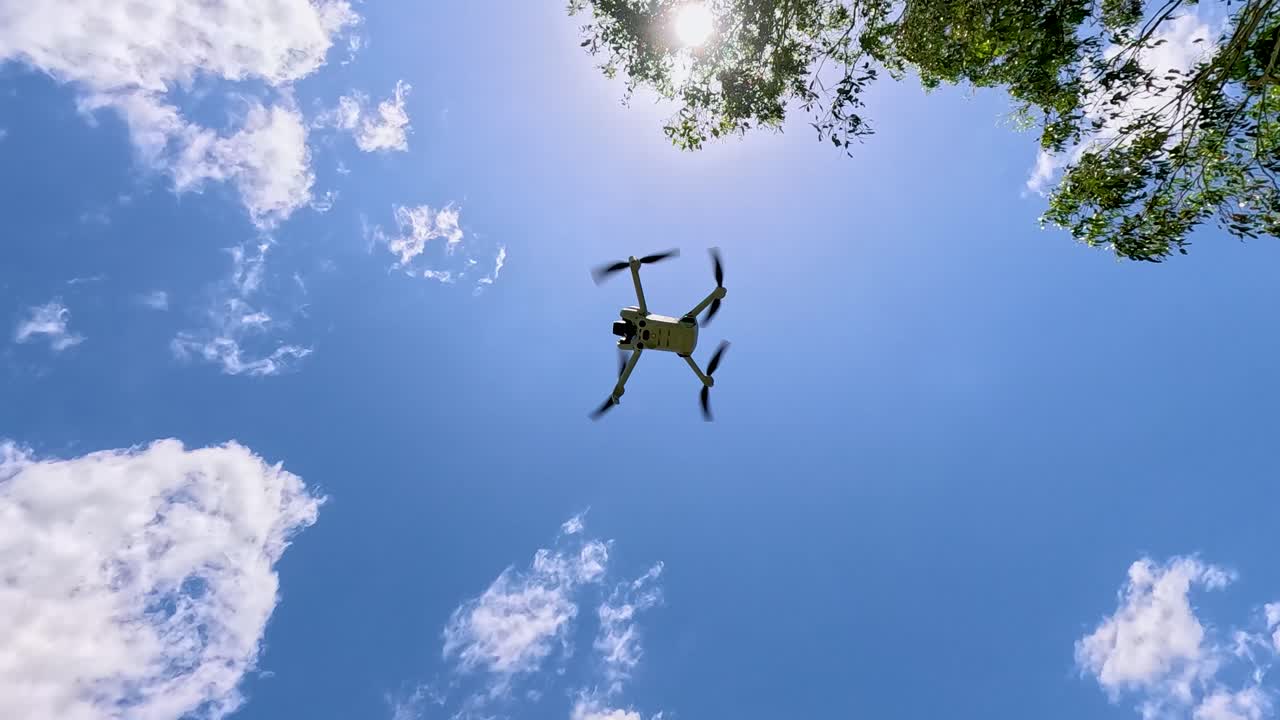 el avión no tripulado despega cerca de los árboles de eucalipto bajo un cielo despejado