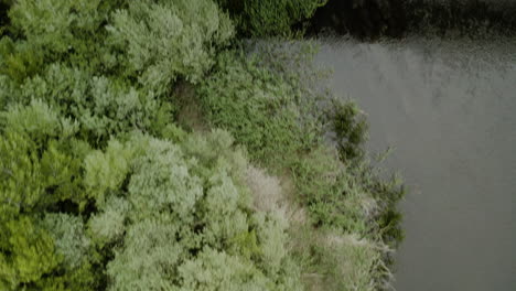 Vista-De-Arriba-Hacia-Abajo-Con-Puente-Peatonal-Blanco-En-Isla-De-Soto,-España---Toma-Aérea