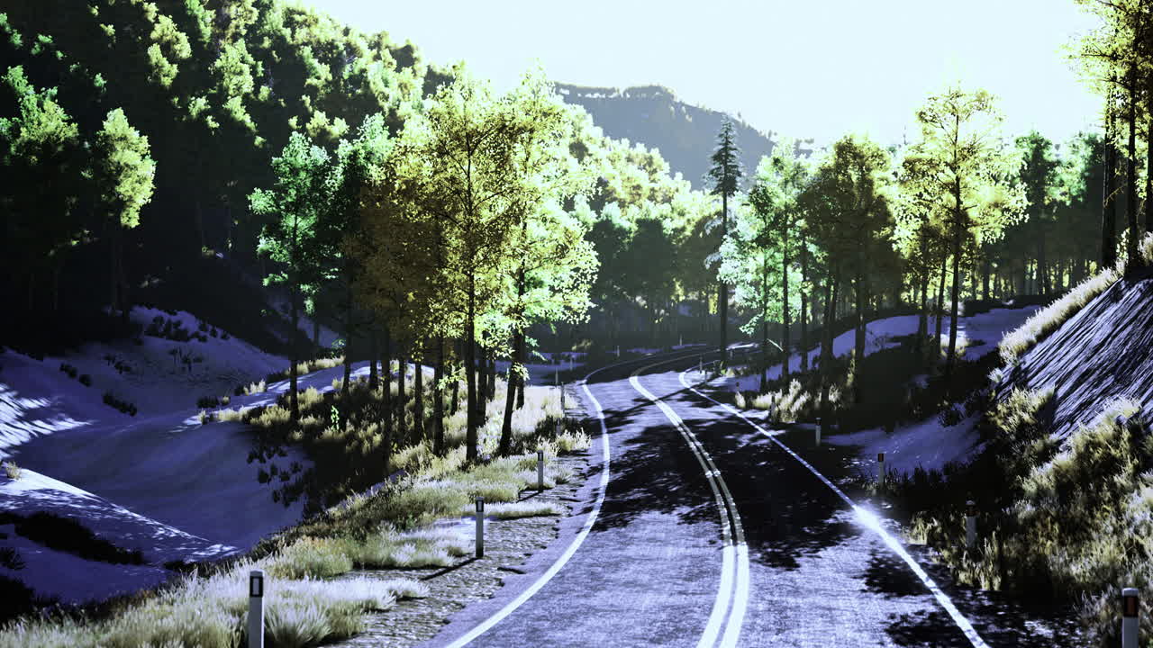 Scenic winding road through lush forest with sunlight illuminating trees