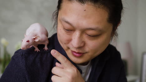 man playing with rats