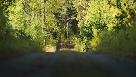 Un-Estrecho-Camino-De-Tierra-Atraviesa-El-Bosque-Iluminado-Por-El-Sol