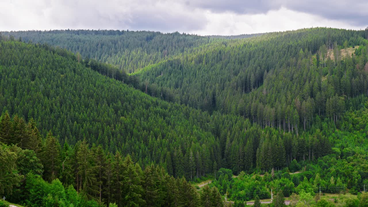 Slowly moving light over the dense green forests of a natural landscape