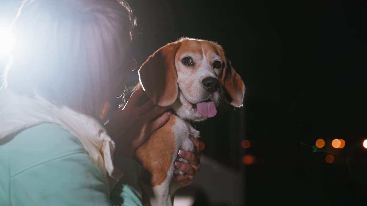 Female dog tamer gently holds and gazes at beagle under soft night lighting creating serene and tender atmosphere showcasing bond between woman and loyal pet with blurred city lights in background
