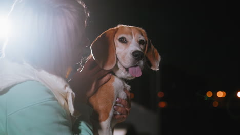 female dog tamer gently holds and gazes at beagle under soft night lighting creating serene and tender atmosphere showcasing bond between woman and loyal pet with blurred city lights in background