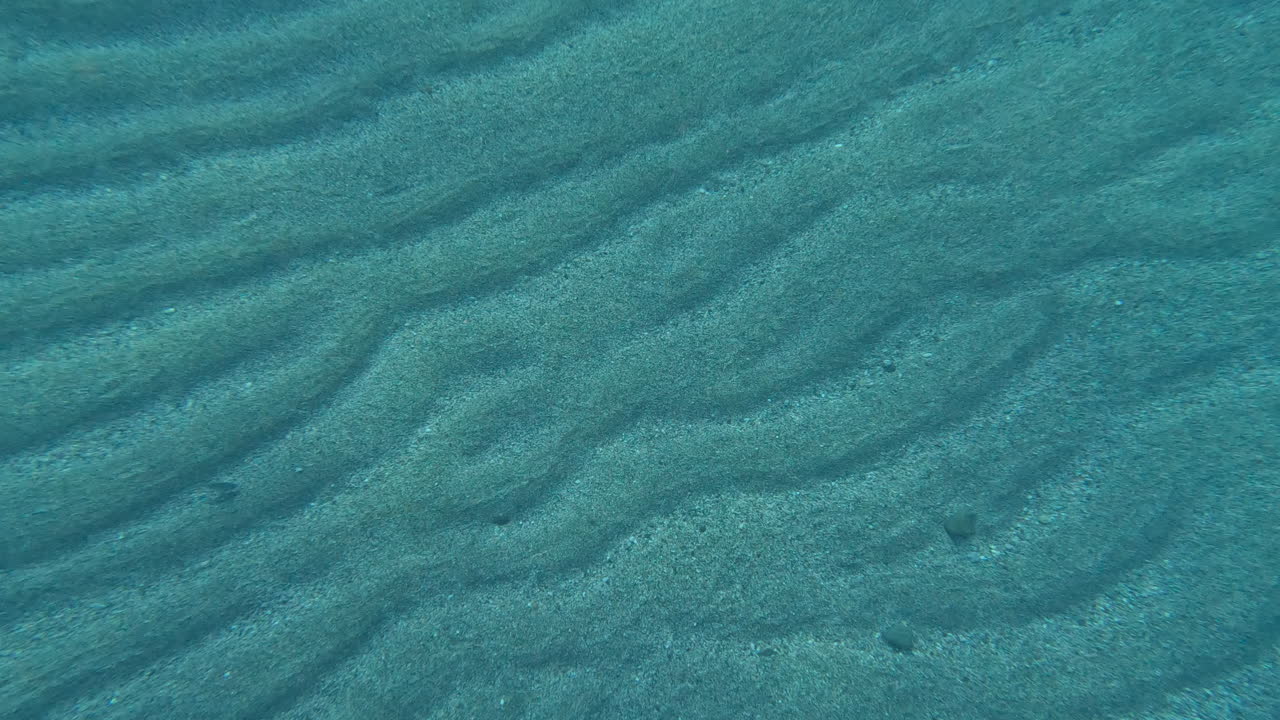 con el pulgar en el mar