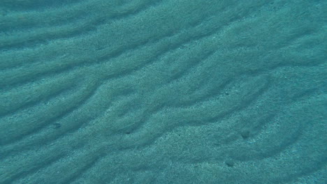 Hand-Mit-Daumen-Nach-Oben-Im-Meer