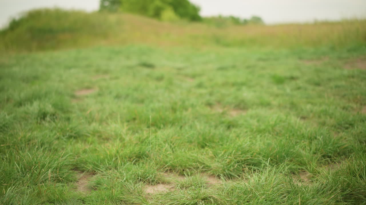 A black portable chair stands alone on vibrant green grass, with a woman in a white dress partially visible, enhancing the tranquil outdoor setting