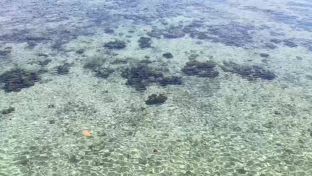 Klart havvand ved Karampuang-øen i Mamuju, Vest Sulawesi, Indonesien