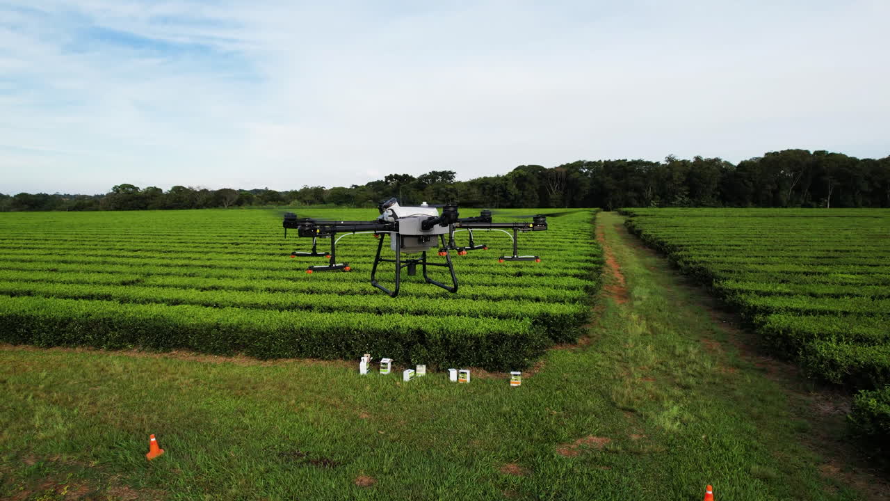 drone dji agras t30 despegando y preparándose para rociar pesticidas sobre una hermosa y exuberante plantación de té verde en argentina