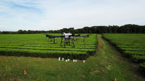 Dron-Dji-Agras-T30-Despegando-Y-Preparándose-Para-Rociar-Pesticidas-Sobre-Una-Hermosa-Y-Exuberante-Plantación-De-Té-Verde-En-Argentina