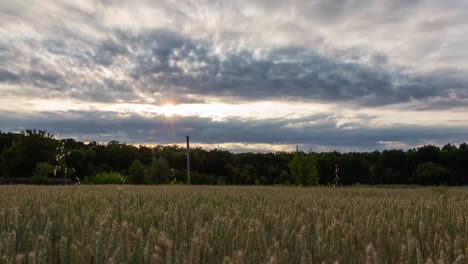 wheat field under moving clouds sunset timelapse