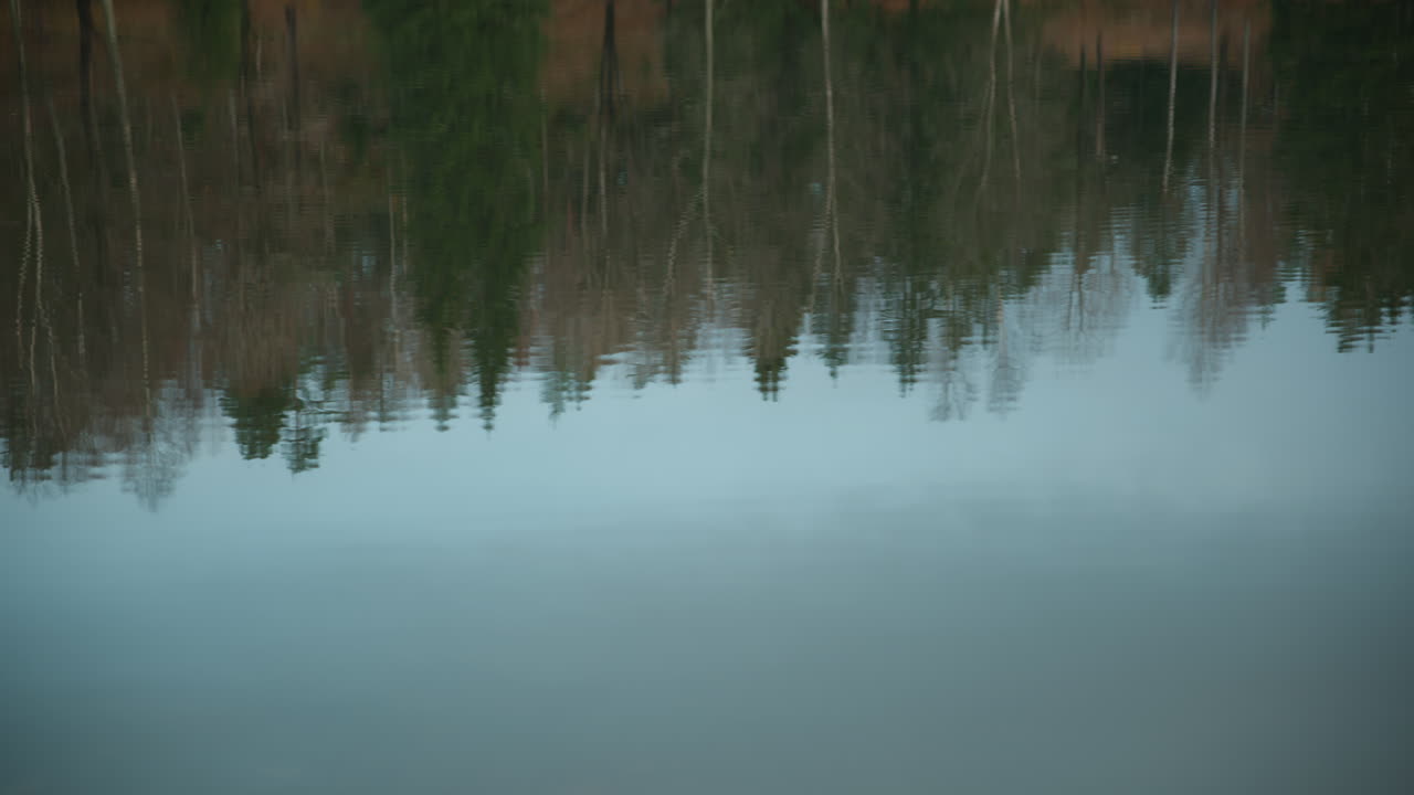 Mediumbillede af vand, der kruser og reflekterer træerne