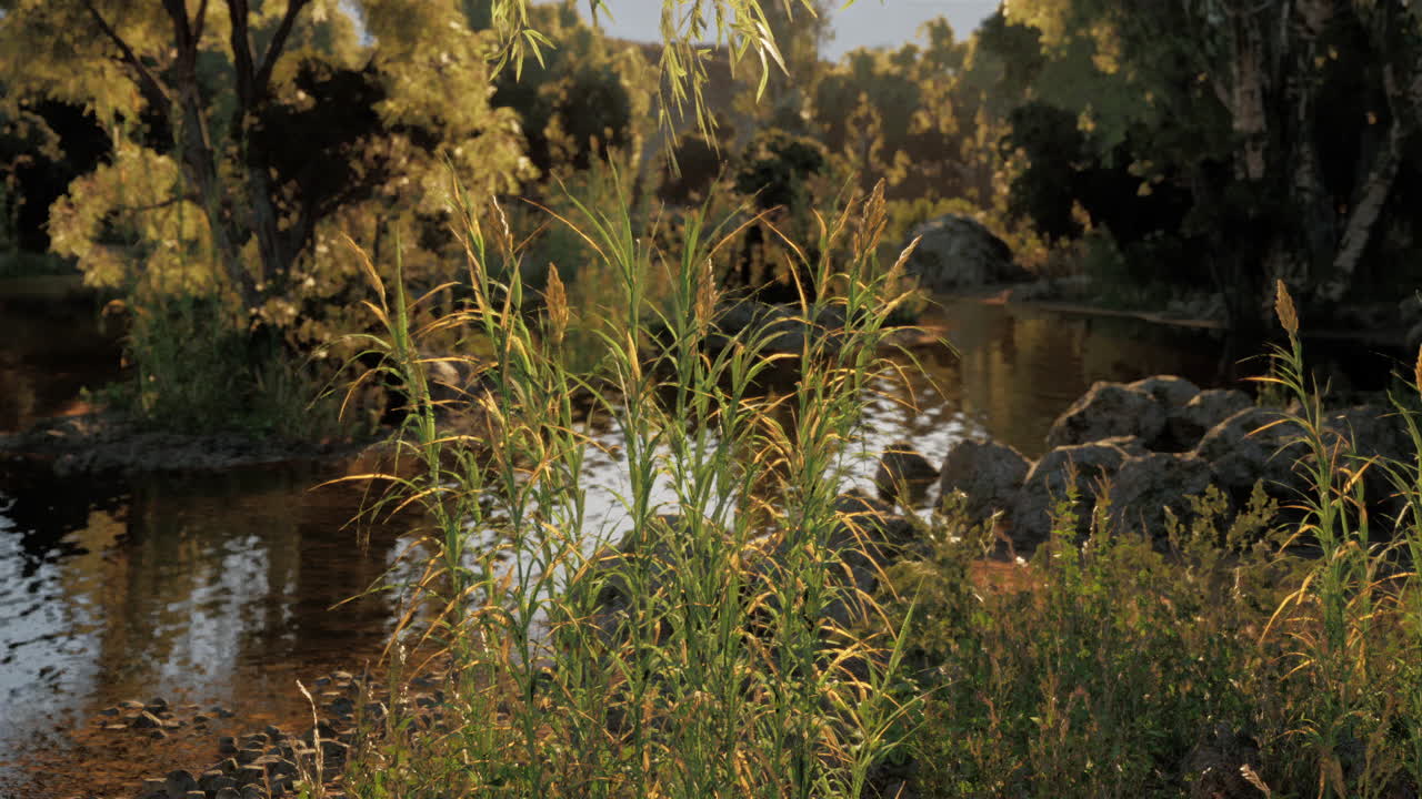 Golden Hour Reflections in a Tranquil River