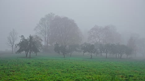 Nebliger,-Nebliger-Tag-Bei-Sonnenaufgang,-Um-Ein-Bauernhaus-Unter-Einem-Bunten-Baum-Mit-Herbstblättern-Freizulegen---Zeitraffer