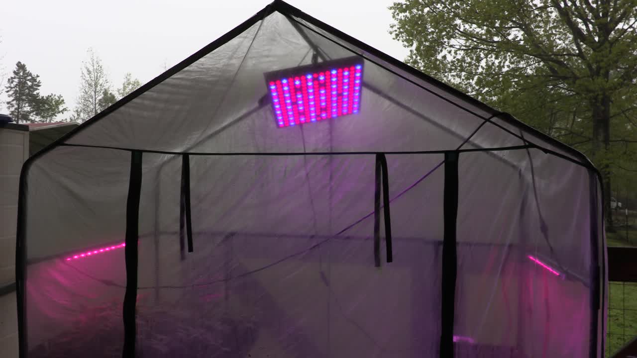 전체 스펙트럼의 넓은 샷은 우울한 날 작은 온실에서 조명을 키웁니다